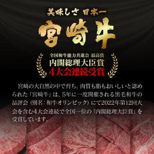 ふるさと納税 西都市 宮崎牛 カルビ焼肉2種8...の詳細画像3