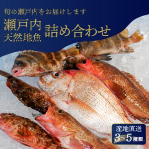 ふるさと納税 三原市 瀬戸内産 鮮魚 地魚詰め合わせ 瀬戸内天然鯛入り!(3〜5種類・下処理済)[1...