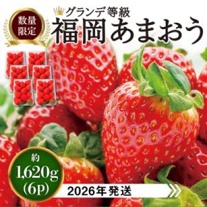 ふるさと納税 糸島市 あまおう いちご1,620g (約270g×6パック) 【先行受付】[AZL0...