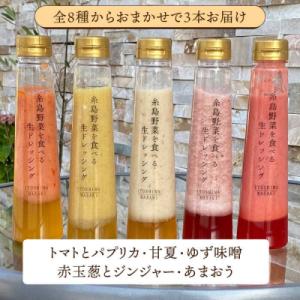 ふるさと納税 糸島市 【全12回定期便】 糸島...の詳細画像2