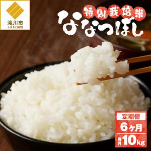 ふるさと納税 滝川市 《令和7年産》特別栽培米ななつぼし 10kg×6ヵ月定期便 特A 減農薬 白米 北海道滝川市