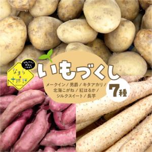 ふるさと納税 芽室町 【2026年12月中旬より順次発送】北海道十勝芽室町　なまら十勝野のいもづくし...