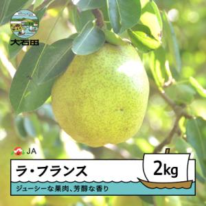ふるさと納税 大石田町 【先行予約】 ラ・フランス 洋梨 約2kg 2026年産 令和8年産 果物 ja-laxxx2