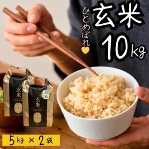 ふるさと納税 関市 【令和7年産】米 ひとめぼれ 玄米 10kg こめ コメ お米