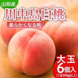 ふるさと納税 山形市 川中島 白桃 秀品 大玉 6個入 1.8kg以上[やわらかくなる桃] 【令和8年産】FU21-007