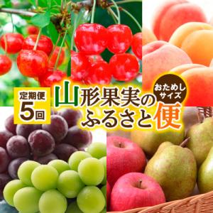 神の河 入手困難 神の河ブラック（かんのこブラック）720ml ［数量限定