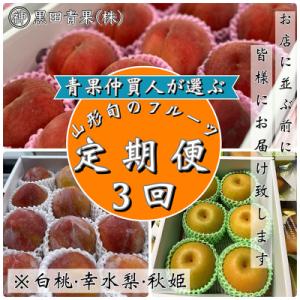 ふるさと納税 山形市 【定期便3回】青果仲買人が選ぶ!フルーツ3選![白桃・幸水梨・秋姫]【令和8年...