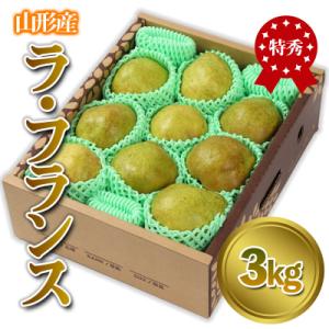 ふるさと納税 山形市 山形産 「ラ・フランス」 特秀品 3kg (8〜13玉)【令和8年産】 FS2...