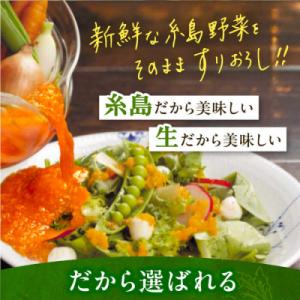 ふるさと納税 糸島市 【全12回定期便】【贈答...の詳細画像2
