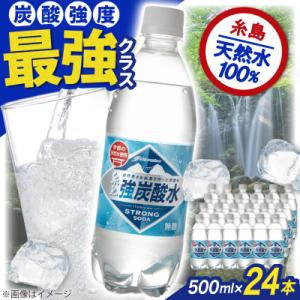 ふるさと納税 糸島市 強炭酸水 プレーン 500ml × 24本  糸島市/スターナイン 炭酸水 国...