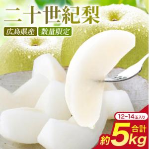 ふるさと納税 安芸高田市 梨 2026年 先行予約 二十世紀梨 5kg 12〜14玉 なし 果物[No5895-0688]
