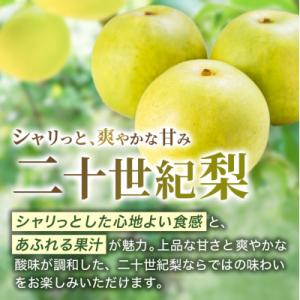 ふるさと納税 安芸高田市 梨 2026年 先行...の詳細画像1
