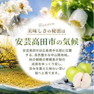 ふるさと納税 安芸高田市 梨 2026年 先行...の詳細画像2
