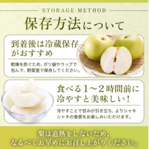 ふるさと納税 安芸高田市 梨 2026年 先行...の詳細画像3