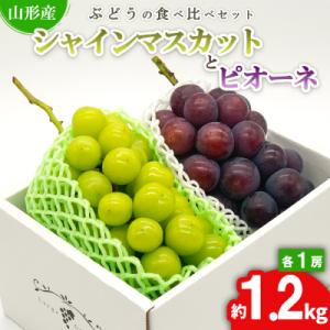 ふるさと納税 山形市 シャインマスカットとピオーネ 約1.2kg(各1房) 秀品 【令和8年産】FS24-526
