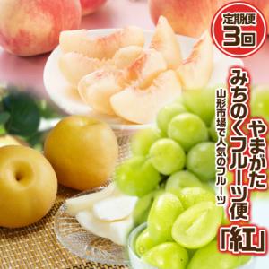 ふるさと納税 山形市 【定期便3回】やまがた みちのくフルーツ便 ”紅”人気のフルーツ【令和8年産】FS24-743