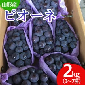 ふるさと納税 山形市 山形市産 ぶどう(ピオーネ) 秀 2kg(3〜7房)[後半] 【令和8年産】FU22-038