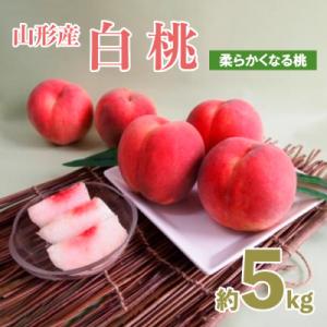 ふるさと納税 山形市 山形産白桃 小玉サイズ 約5kg(18〜22玉)[柔らかくなる桃] 【令和8年産】FU21-159