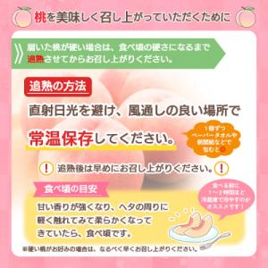 ふるさと納税 山形市 山形産白桃 小玉サイズ ...の詳細画像2