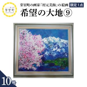 ふるさと納税 芽室町 北海道十勝芽室町 希望の大地9 10号 me025-020