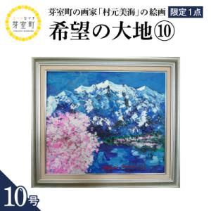 ふるさと納税 芽室町 北海道十勝芽室町 希望の大地10 10号 me025-021