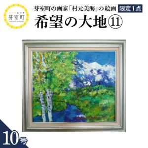 ふるさと納税 芽室町 北海道十勝芽室町 希望の大地11 10号 me025-022