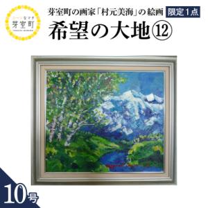 ふるさと納税 芽室町 北海道十勝芽室町 希望の大地12 10号 me025-023