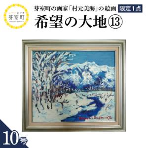 ふるさと納税 芽室町 北海道十勝芽室町 希望の大地13 10号 me025-024