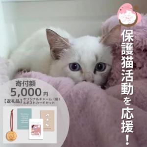 ふるさと納税 小郡市 保護猫活動を応援! ロゴチ...の商品画像