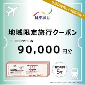ふるさと納税 江東区 東京都江東区　日本旅行　地域限定旅行クーポン90,000円分【kt007-00...