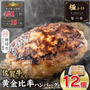 ふるさと納税 神埼市 佐賀牛入りハンバーグ 120g×12個(H083104)