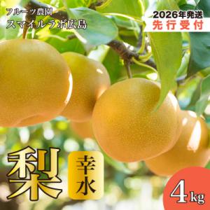 ふるさと納税 三原市 【先行受付】幸水(こうすい)梨 4kg 2026年8月下旬以降発送予定 [059-009]