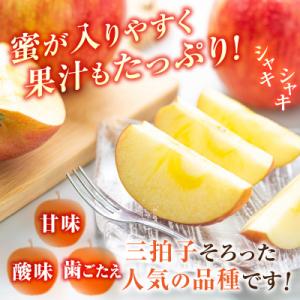 ふるさと納税 大江町 ≪先行受付≫ふじりんご ...の詳細画像1