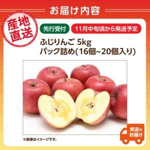 ふるさと納税 大江町 ≪先行受付≫ふじりんご ...の詳細画像2