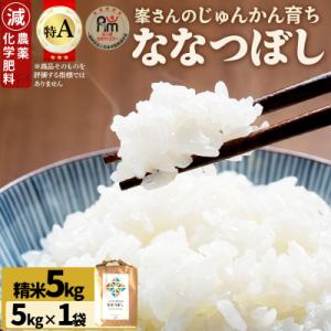 ふるさと納税 岩見沢市 令和7年産!岩見沢産 特別栽培米 峯さんの「ななつぼし」 5kg【29101】