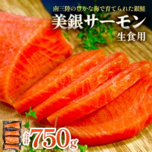 ふるさと納税 石巻市 美銀サーモン(生食用)750g 冷凍 切り身 鮭 さけ サケ シャケ 銀鮭 お...