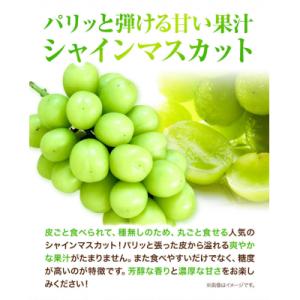 ふるさと納税 笠岡市 岡山県産ニューピオーネ&...の詳細画像2