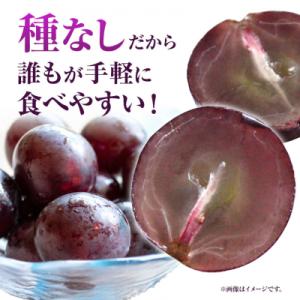 ふるさと納税 笠岡市 岡山県産ニューピオーネ ...の詳細画像2
