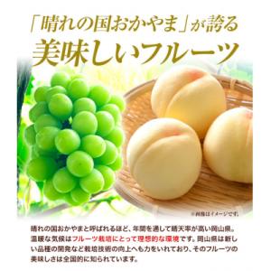 ふるさと納税 笠岡市 岡山県産ニューピオーネ ...の詳細画像3