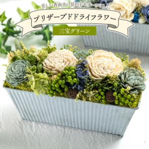 ふるさと納税 香南市 ドライフラワー プリザーブドライフラワー 三宝グリーン 花雑貨 SOU flower sf-0001
