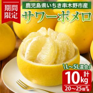 サワーポメロ（フルーツ） | 食品 のおすすめ人気商品一覧 通販