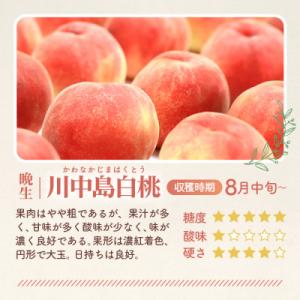 ふるさと納税 桑折町 もも【川中島白桃・202...の詳細画像1