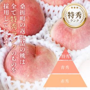 ふるさと納税 桑折町 もも【川中島白桃・202...の詳細画像3