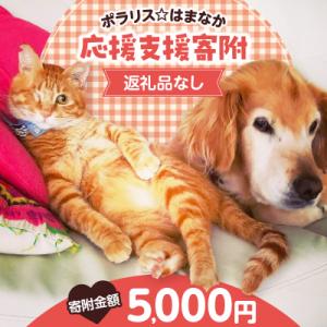 ふるさと納税 浜中町 【動物愛護ボランティア】「ポラリス☆はまなか」を支援　5000円分 返礼品なし...