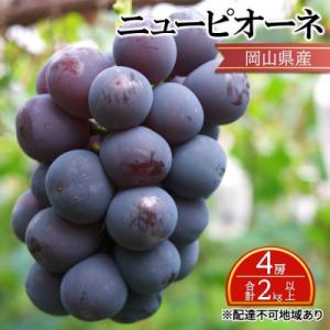 ふるさと納税 瀬戸内市 【2026年先行受付】 ニュー ピオーネ 4房 合計2kg以上 岡山県産[No.5735-2136]