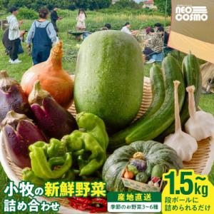ふるさと納税 小牧市 ★障がい者支援施設応援品★ ネオコスモ農園で採れた小牧の野菜詰め合わせ [12...