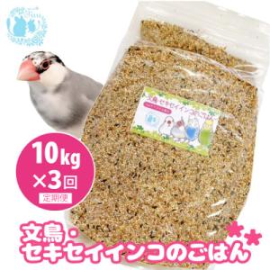 ふるさと納税 小牧市 【3ヶ月定期便】fuu 文鳥・セキセイインコのごはん(10kg)[145S48-T]