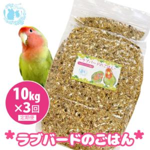 ふるさと納税 小牧市 【3ヶ月定期便】fuu ラブバードのごはん(10kg)[145S66-T]