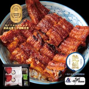 ふるさと納税 各務原市 たむろ極 めすうなぎ艶鰻(蒲焼き2尾)【44】