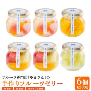ふるさと納税 南相馬市 フルーツ専門店「やまさん」の手作りフルーツゼリー おすすめ6個セット cp0...